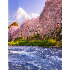  MÉDIA Natura34 matrica, 135 x 225 cm tapéta, díszléc és más dekoráció