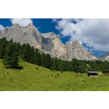  Média Natura47 matrica, 220 x 135 cm tapéta, díszléc és más dekoráció