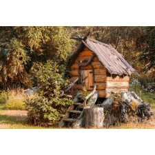  MÉDIA Natura77 matrica, 220 x 135 cm tapéta, díszléc és más dekoráció