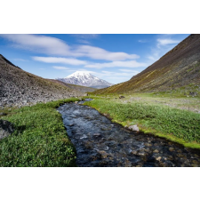  MÉDIA Natura80 matrica tapéta, 270 x 200 cm tapéta, díszléc és más dekoráció