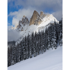  MÉDIA Natura95 Öntapadó és mosható fotótapéta, 135 x 225 cm tapéta, díszléc és más dekoráció