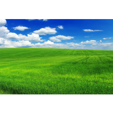  Média Natura 105 tapéta, 220 x 135 cm tapéta, díszléc és más dekoráció