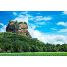  Média Natura 40 Tapéta, 270 x 200 cm tapéta, díszléc és más dekoráció