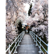  Média Natura 91 Öntapadó és mosható fali tapéta, 135 x 225 cm tapéta, díszléc és más dekoráció