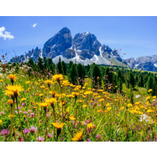  Media Nyomtatott tapéta, hegyi mező, 135 x 225 cm tapéta, díszléc és más dekoráció