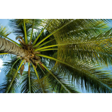  MÉDIA öntapadós és lemosható fali fotótapéta, Pálmafa alatt, 270 x 200 cm tapéta, díszléc és más dekoráció