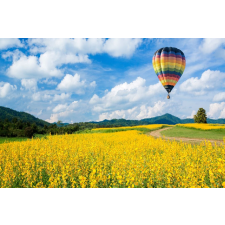  Media "Természet 63" tapéta, 220 x 135 cm tapéta, díszléc és más dekoráció