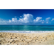  Média tapéta, 220 x 135 cm tapéta, díszléc és más dekoráció