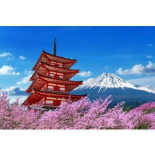  Média tapéta, Flori154 pagoda virágzó cseresznyével, 220 x 135 cm tapéta, díszléc és más dekoráció