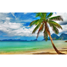  Média tapéta, strand pálmafával, 270 x 200 cm tapéta, díszléc és más dekoráció
