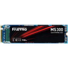 Mega Fastro MegaFastro SSD   1TB  MS300 HS  Series PCI-Express NVMe intern retail (MS300100TTIHS) merevlemez
