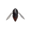 Megabass Gran Siglett 42.5mm 7g FF Kuro Ageha rovar wobbler