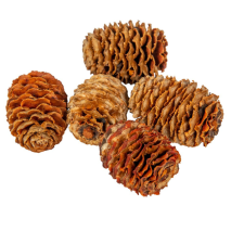  Meridianum narancs 16dkg/csom dekorációs kellék