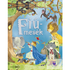  Mesetár - Fiúmesék gyermek- és ifjúsági könyv