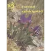 Mezőgazdasági 88 színes oldal a tavaszi vadvirágokról