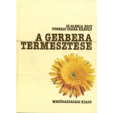 Mezőgazdasági A gerbera termesztése gazdaság, üzlet