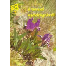 Mezőgazdasági Kiadó 88 színes oldal a tavaszi vadvirágokról - Németh Ferenc-Seregélyes Tibor antikvárium - használt könyv