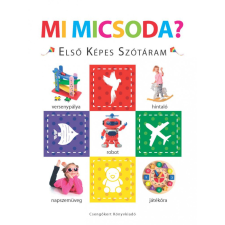  Mi micsoda? – Első képes szótáram gyermek- és ifjúsági könyv