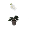 Mica Decorations lepkeorchidea művirág cserépben 13 cm átmérő x 48 cm fehér