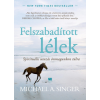 Michael A. Singer - Felszabadított lélek - Spirituális utazás önmagunkon túlra