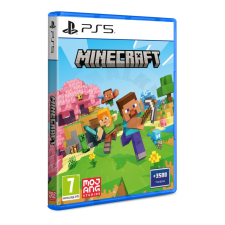 Microsoft Minecraft, PlayStation 5, Konzol játékszoftver videójáték