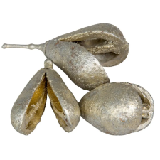  Mike szárított pezsgő 18dkg/csom dekorációs kellék