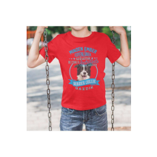  Minden ember egyenlőnek születik de csak a legjobbak lesznek border collie gazdik egyedi mintás gyerek póló
