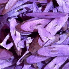  Ming chips lila kb. 50 db/cs. dekorációs kellék