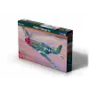  Mistercraft P-51 B-7 Shangri LA 1:72 (C-50)