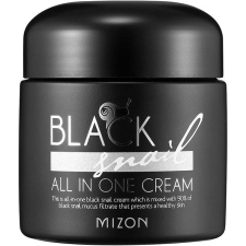 Mizon Black Snail All In One Cream 75 ml arckrém