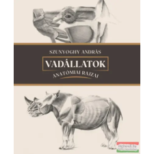 MMA Kiadó Nonprofit Kft. Vadállatok anatómiai rajzai művészet