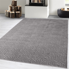  Modern szőnyeg Armoni Plüss (Light grey) 120x170cm Világos szürke lakástextília