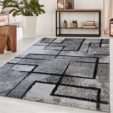  Modern szőnyeg Nara 6035 (Gray) futószőnyeg 80x250cm Szürke lakástextília