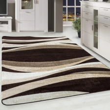  Modern szőnyeg Scarlett 4784 (Brown) 120x170cm Barna lakástextília