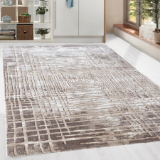  Modern szőnyeg Zara 2852 (Brown-L.Brown) 80x125cm Barna lakástextília