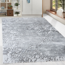  Modern szőnyeg Zara 2853 (Grey-L.Grey) 200x290cm Szürke lakástextília