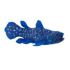 Mojo valódi élő Coelacanth figura játékfigura