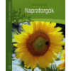Monika Kratz NAPRAFORGÓK /KERTÜNK NÖVÉNYEI