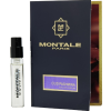 Montale Paris Oud Pashmina, EDP - Illatminta