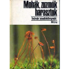 Móra Ferenc Ifjúsági Könyvk. Mohák, zuzmók, harasztok (Búvár zsebkönyv)
