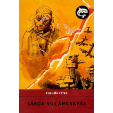 Móra Ferenc Ifjúsági Könyvk. Sárga villámcsapás (Delfin könyvek) antikvárium - használt könyv