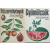 Móra Gyümölcsök+Fűszernövények ( Búvár zsebkönyvek) - Járainé Komlódi M