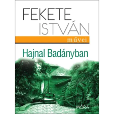 Móra Hajnal Badányban egyéb e-könyv