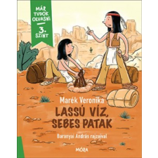 Móra Kiadó Lassú víz, sebes patak gyermek- és ifjúsági könyv