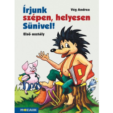 Mozaik Kiadó Írjunk szépen, helyesen Sünivel! - Írás és helyesírás gyakorlókönyv 1. o. tankönyv