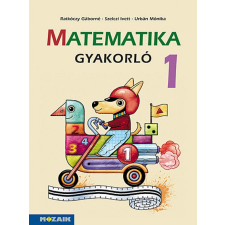 Mozaik Kiadó Matematika gyakorló 1. osztály (MS-1663U) tankönyv