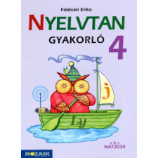 Mozaik Kiadó Nyelvtan gyakorló 4. osztály - MS-1650U tankönyv