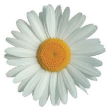  MT107 öntapadós konyhai csempematrica 4db/szett15x15cm tapéta, díszléc és más dekoráció