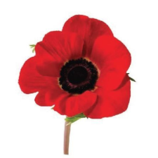  MT109 öntapadós konyhai csempematrica 4db/szett15x15cm tapéta, díszléc és más dekoráció