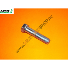 MTD Ékszíjtárcsa felfogató csavar MTD BTR 1101 barkácsgép tartozék